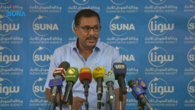 الناطق الرسمي باسم تجمع المهنيين الوليد علي أحمد