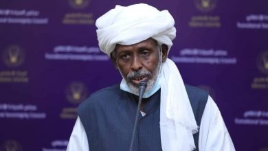محمد أحمد الأمين ترك - ناظر قبيلة الهدندوة