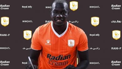 سيف تيري