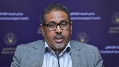 المتحدث باسم الجبهة الثورية أسامة سعيد