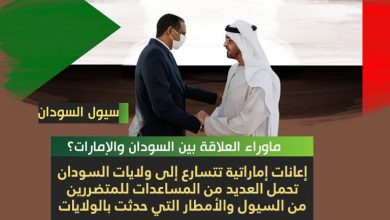 سيول السودان