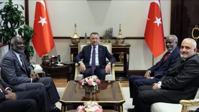 نائب اوردوغان