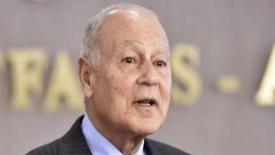 الأمين العام لجامعة الدول العربية أحمد أبوالغيط- أرشيفية