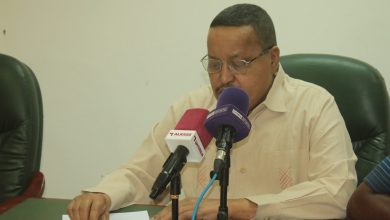 طه فكي
