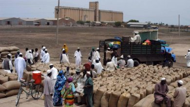 محصولات سودانية بمدينة القضارف شرقي البلاد