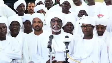 ناظر قبيلة الرزيقات محمود موسى مادبو يحذر من مغبة استهداف حميدتي