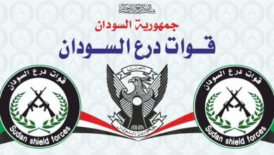قوات درع السودان