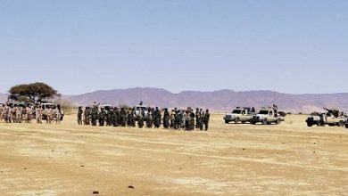 قوى مسلحة تنضم للدعم السريع لحماية المدنيين في دارفور