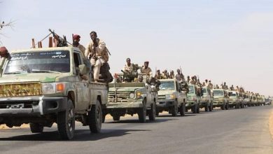 القوة التابعة للدعم السريع والمنسحبة من حدود افريقيا الوسطى