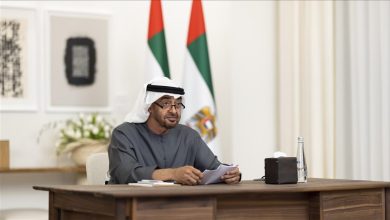 رئيس الإمارات، الشيخ محمد بن زايد آل نهيان