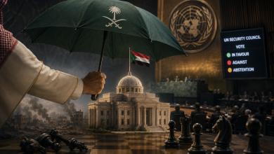 الفيتو-الدبلوماسي