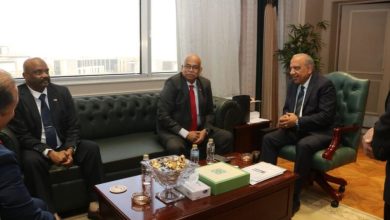 وزير الطاقة ووالي الشمالية شاركا في محادثات مع الجانب المصري لزيادة الربط الكهربائي بين البلدين