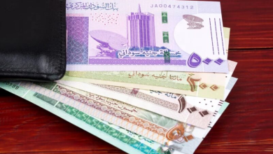 العملة السودانية تهبط الى مستوى غير مسبوق أمام سلة العملات الأجنبية