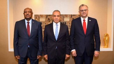 الصور: المصدر: الخارجية المصرية - فيسبوك / AA