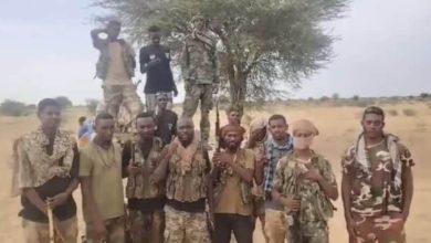 الجيش السوداني يواصل التقدم في شمال كردفان ويتصدى لهجوم بالنيل الأزرق