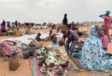 المتحدث باسم منسقية النازحين واللاجئين: وفاة 30 طفلًا في جبل مرة جراء مضاعفات سوء التغذية
