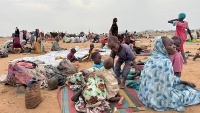 المتحدث باسم منسقية النازحين واللاجئين: وفاة 30 طفلًا في جبل مرة جراء مضاعفات سوء التغذية