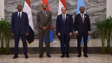الصور: المصدر: المتحدث الرسمي لرئاسة جمهورية مصر العربية - فيسبوك / AA