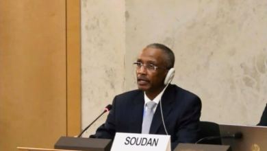 مندوب السودان الدائم في جنيف حسن حامد