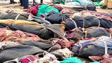 ضحايا الغارات الجوية