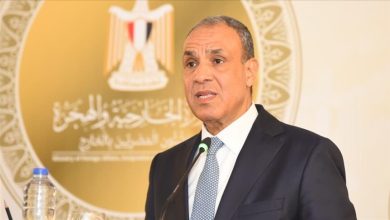 بدر عبد العاطي