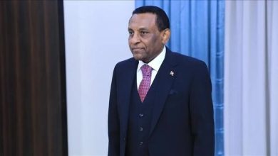 كامل ادريس