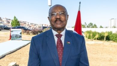 وزير الخارجية السوداني محي الدين سالم