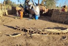 ناشطون يحذرون من مجاعة وشيكة في «الطينة» بشمال دارفور