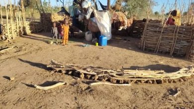 ناشطون يحذرون من مجاعة وشيكة في «الطينة» بشمال دارفور