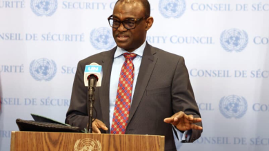 مندوب السودان الدائم لدى الأمم المتحدة، الحارث إدريس.