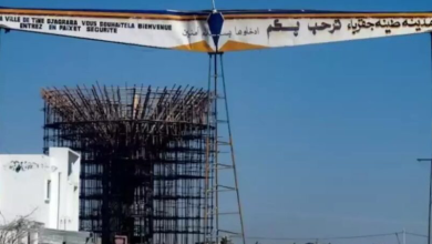 الطينة التشادية