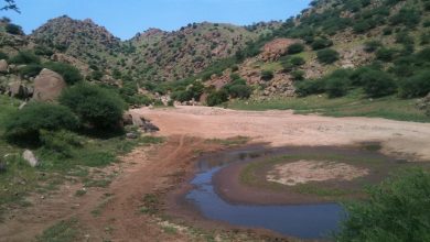 مدينة الفاو - شرقي السودان