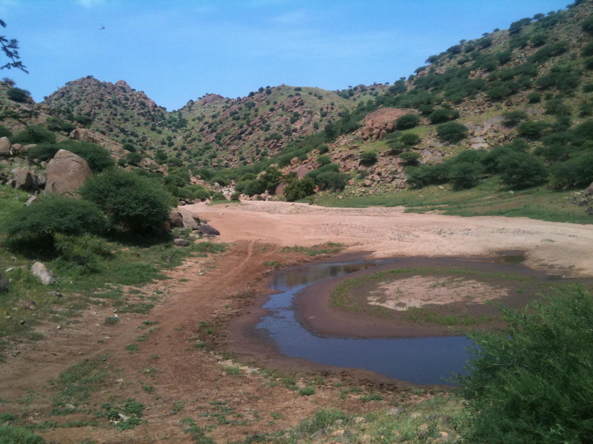 مدينة الفاو - شرقي السودان