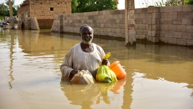 فيضانات السودان 2022
