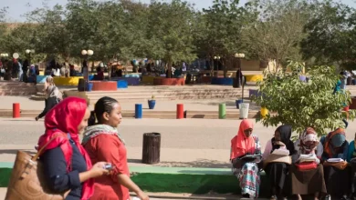 أمين عام جهاز تشغيل الخريجين عادل علي بابكر يتحدث عن أسباب تفاقم أزمة البطالة في السودان (الصورة - غيتي)