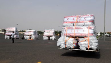 المساعدات أنقذت آلاف الأسر السودانية (الاتحاد)