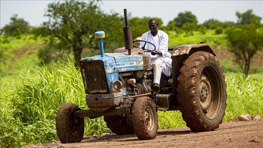 مزارعو السودان
