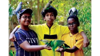 أطفال في «محمية المارشال» للطيور