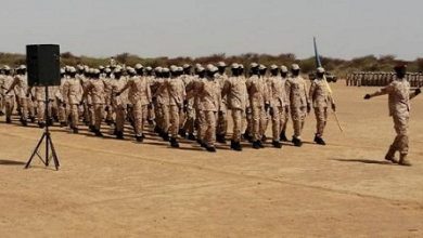 دفعة من قوات حماة السلام التابعة لحركة تحرير السودان بقيادة مناوي