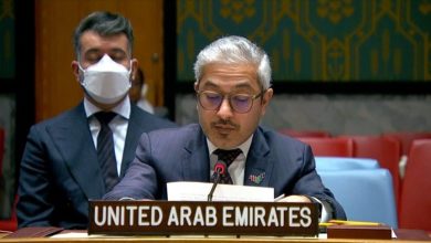 مندوب دولة الإمارات العربية المتحدة أمام مجلس الأمن الدولي