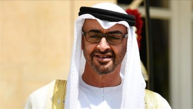 الرئيس الإماراتي الشيخ محمد بن زايد آل نهيان